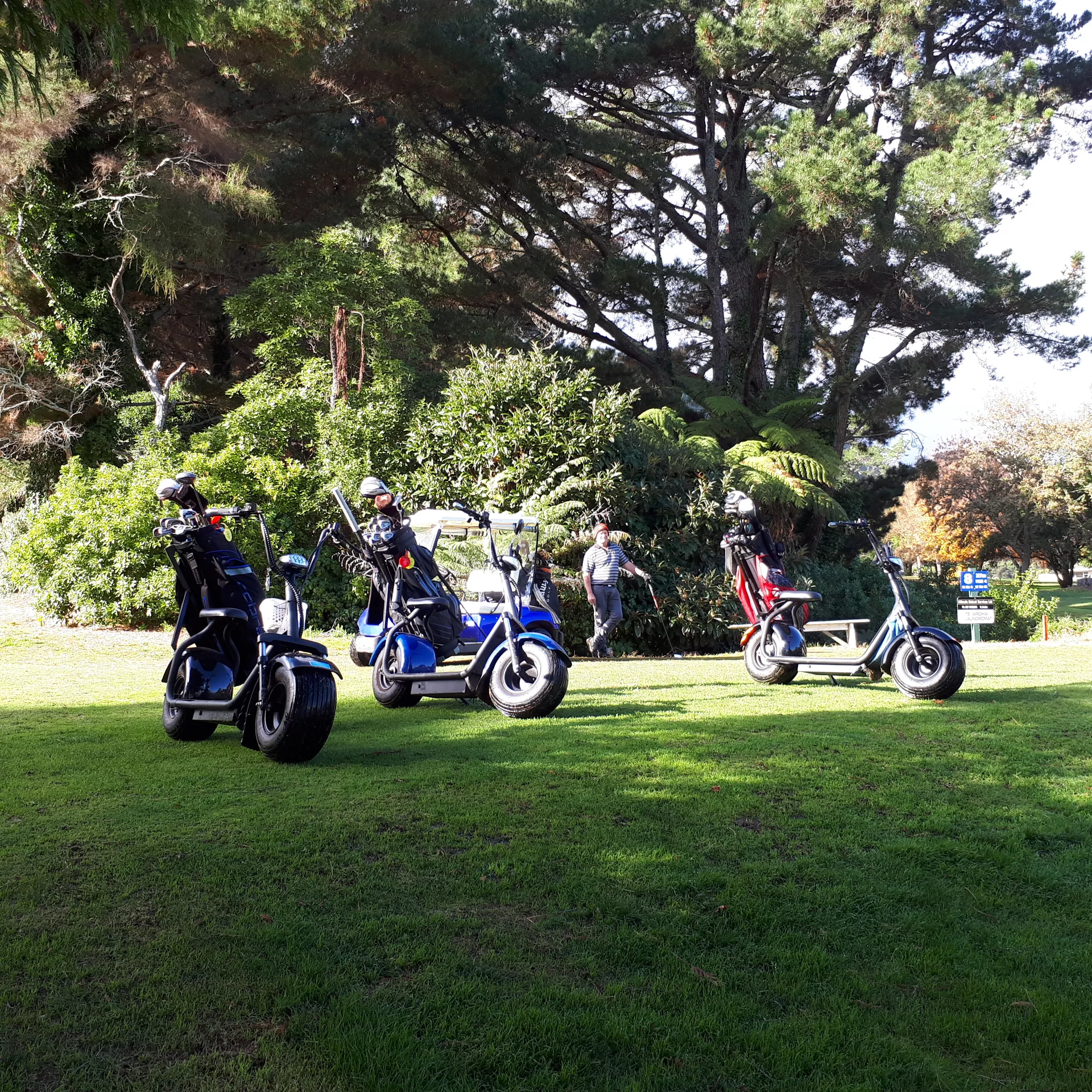 WANT TO IMPROVE YOUR GOLF HANDICAP?