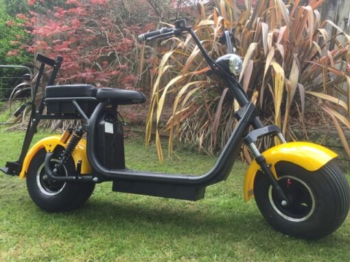 VENTURE GS2000 ELECTRIC GOLF SCOOTER 1 x 20ahr BATTERY | Venture Scooters